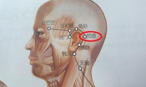 颅息的准确位置图 颅息的准确位置和作用