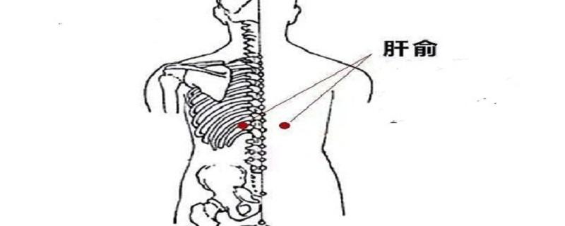 艾灸肝俞的功效（灸肝俞的功效与作用）