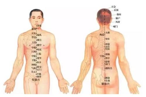 督脉的准确位置图（督脉的准确位置图及走向）