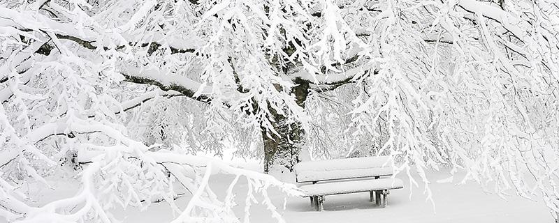 大雪节气会下雪吗 大雪节气会下雪吗吗