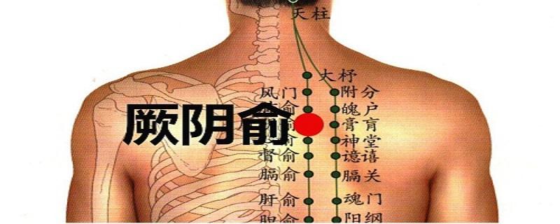 厥阴俞在哪里 厥阴俞怎么找