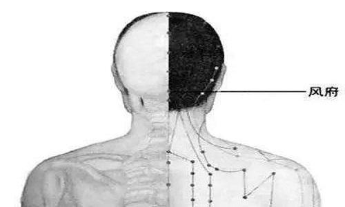 风府的准确位置图和作用 风府的准确位置图和作用百度百科