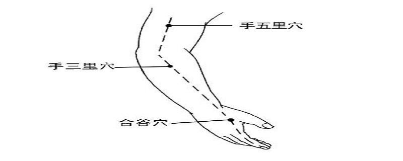 手三里针刺感受 足三里针灸