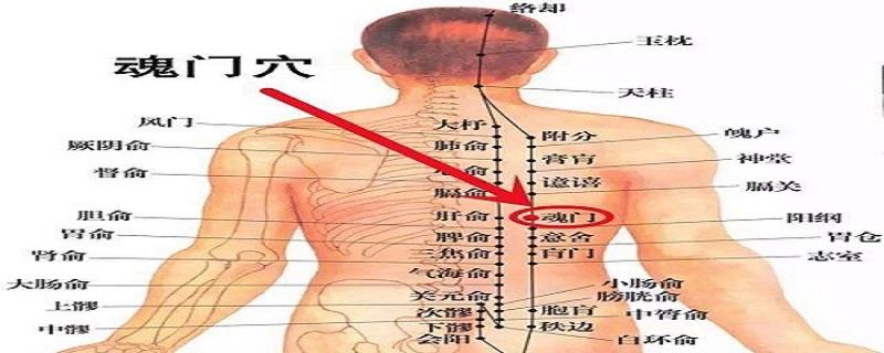 魂门的位置及作用 魂门的准确位置和作用