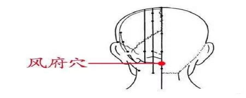 风府是什么经络 风府在哪条经络