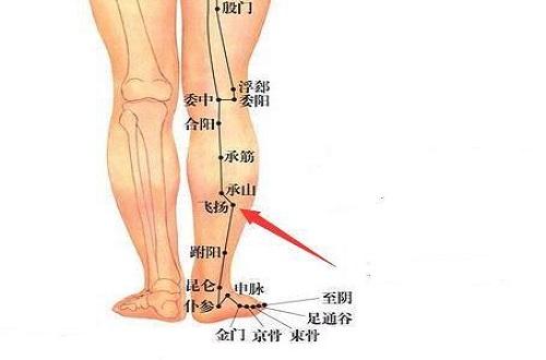 飞扬的准确位置图片 飞扬准确位置图和作用