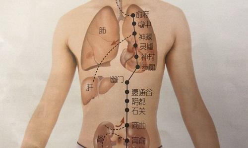 神藏的准确位置图作用 神藏的准确位置图片及作用