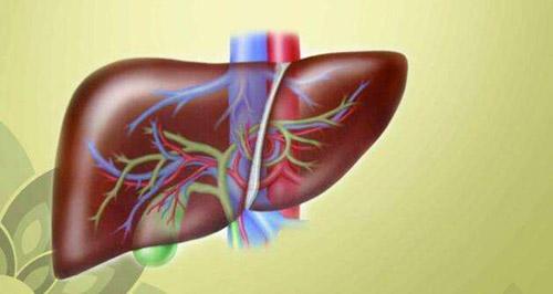 肝脏受损的原因 造成肝脏受损的原因