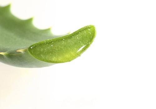 宝宝淹脖子能用芦荟胶吗（宝宝淹脖子能用芦荟胶吗图片）