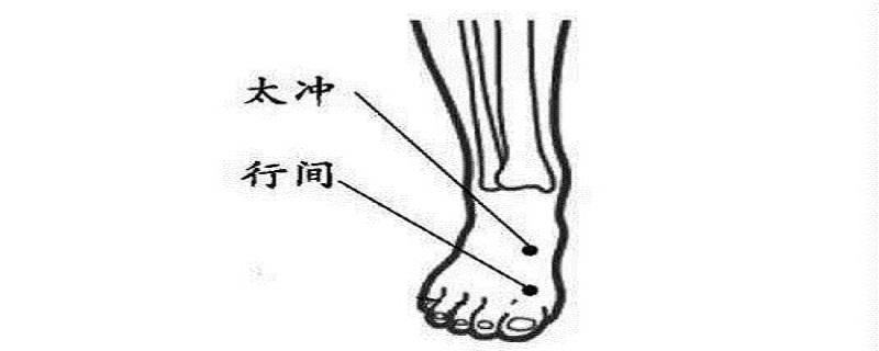 太冲行间准确位置图和作用 太冲行间准确位置图和作用及功效