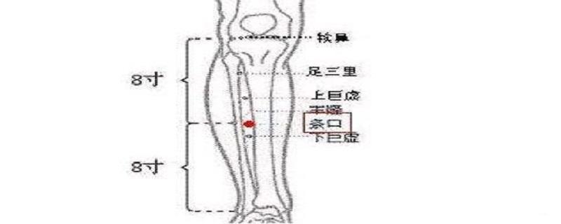 条口的意思是什么（开口条是什么）