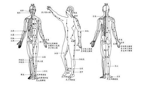 十二经络运行时间（十二经络运行时间和作用）