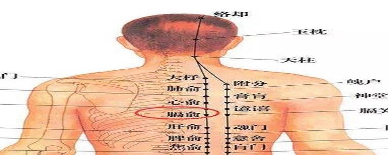 膈俞的简单找法 膈俞的准确位置图图解