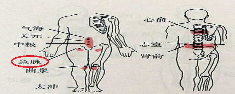 急脉的位置图片 急脉的准确位置图和作用的准确位置图片