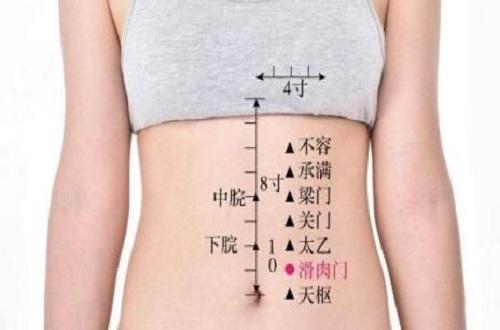 滑肉门功效与作用 滑肉门准确位置图和功效