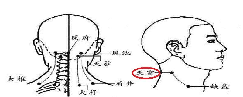 天窗在什么位置图（天窗准确位置图）