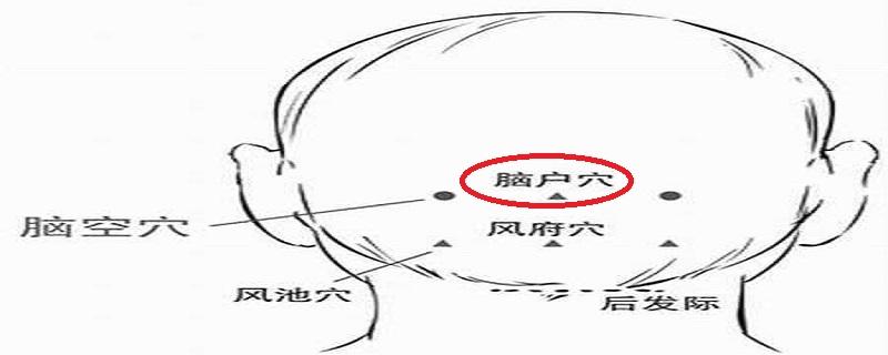 脑户的位置图片（脑户的准确位置图和作用的准确位置图片）