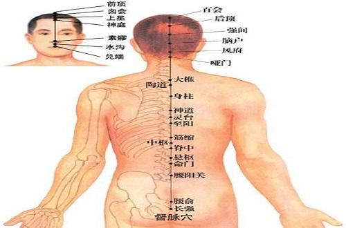 长强准确位置图和作用（长强准确位置图和作用百会）