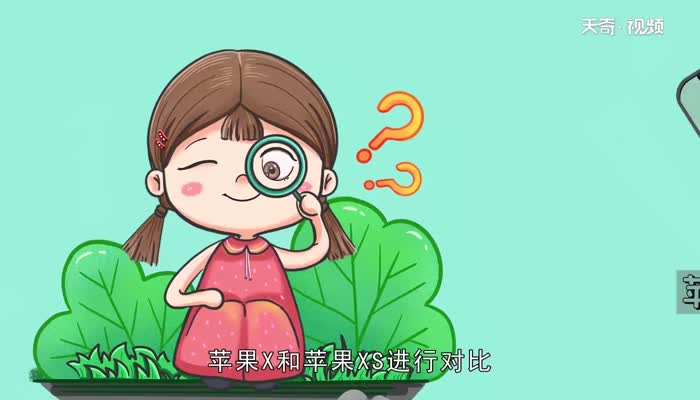 苹果x和xs区别  苹果x和xs有什么区别