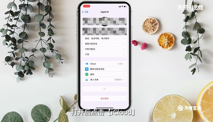 苹果怎么从iCloud恢复备份 苹果从iCloud恢复备份的方法