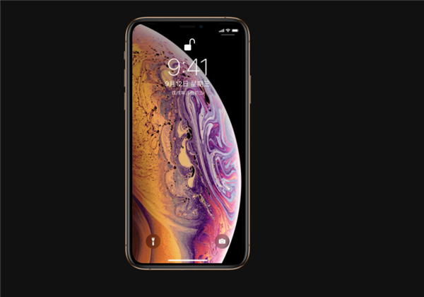 iphonexs支持面部识别吗