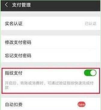 华为畅享9plus怎么设置微信指纹支付