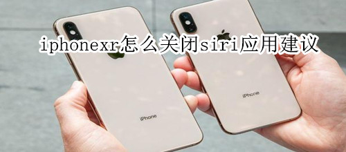 iphonexr怎么关闭siri应用建议