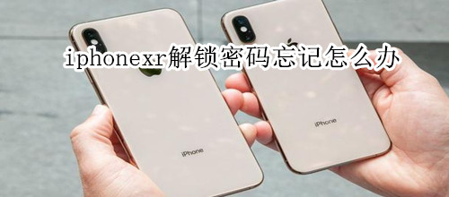 iphonexr解锁密码忘记怎么办