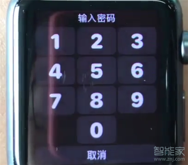 Apple Watch Series 4怎么重新设置密码