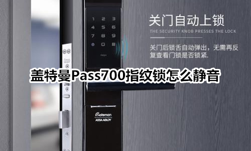 盖特曼Pass700指纹锁怎么静音