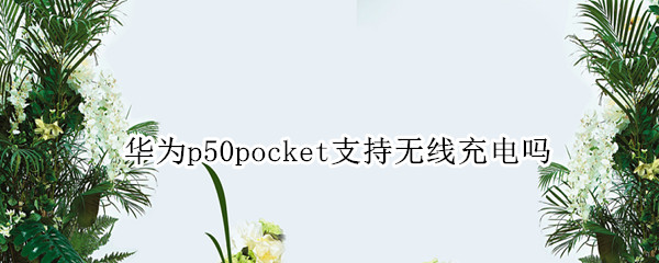 华为p50pocket支持无线充电吗（华为p50无线充电器）