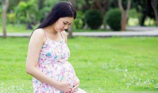 孕妇可以吃芹菜吗 孕妇可不可以吃芹菜的解释