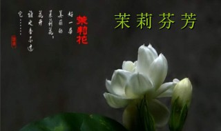 茉莉花是哪里的民歌 在哪些重大场面演出过