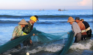 捞海鱼方法 捞海鱼方法是什么