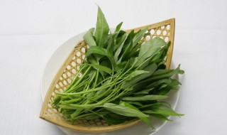 夏季吃什么青菜好 夏季适合吃哪些青菜