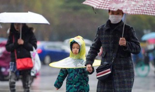 如何判断雨什么时候停 判断雨吃饭饭