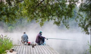 虾肉粉末香精能不能钓鱼 虾肉粉末香精适合用于钓鱼吗