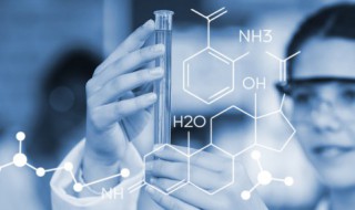 电荷效应和分子筛效应 什么是电荷效应和分子筛效应