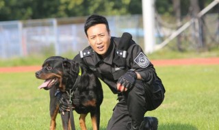 警花与警犬抓捕小丑第几集 警花与警犬讲的是什么