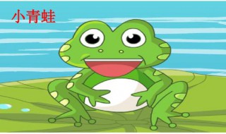 怎么爱护小青蛙 做到这两点能有效保护青蛙