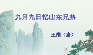 王维为什么要写九月九日忆山东兄弟背景是什么 九月九日忆山东兄弟原谅介绍