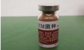 em菌种养殖怎么使用 em菌种养殖使用方法