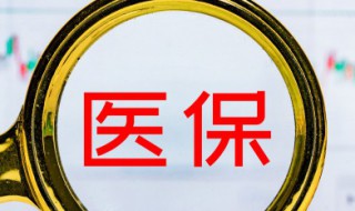 基本医疗保险怎么交（职工基本医疗保险怎么交）