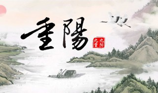 重阳节情话最暖心短句（重阳节情感短句）