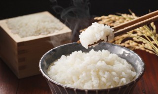 油饼热量高还是米饭热量高 油饼热量高还是米饭热量高呢