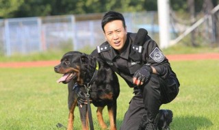 警花与警犬2在哪能看（警花与警犬2怎么看不了）