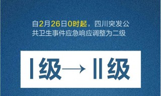 二级响应是什么措施 二级响应机制什么意思