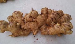 种姜10亩要多少成本 种姜10亩要多少成本利润