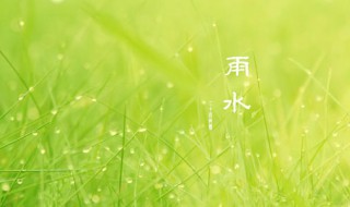 雨水节气吃什么好（雨水节气吃什么传统食物）