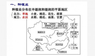 北方地区的种植业类型（北方地区的种植业类型是什么）